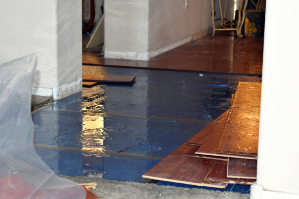 Professional Basement Flood Cleanup technician working in Minnesota Lake, MN